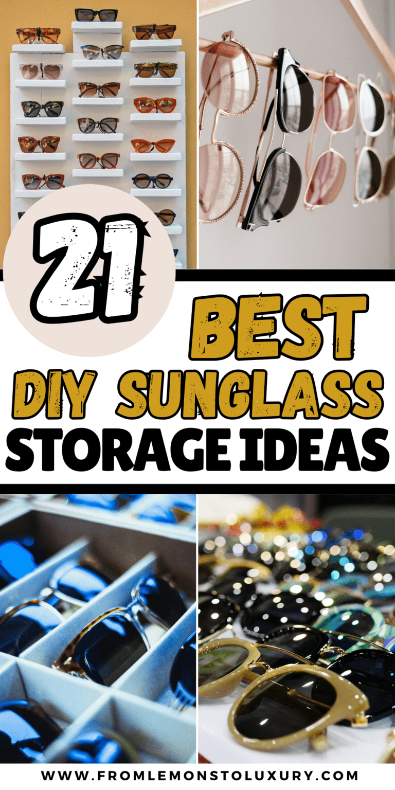 21+ Best DIY Sunglass Storage Ideas for an Organized Collection