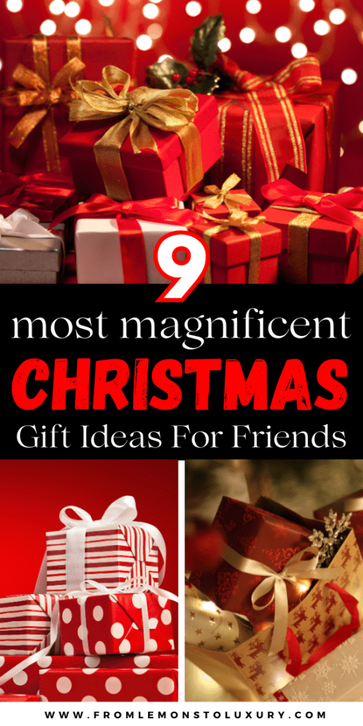 Christmas Gift Ideas For Friends