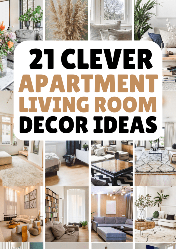 21+ Insanely Smart Apartment Living Room Ideas on a Budget