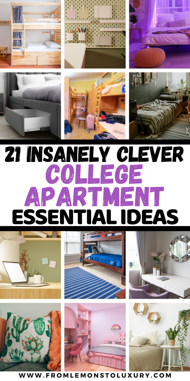 21+ Cute College Apartment Essentials You Need