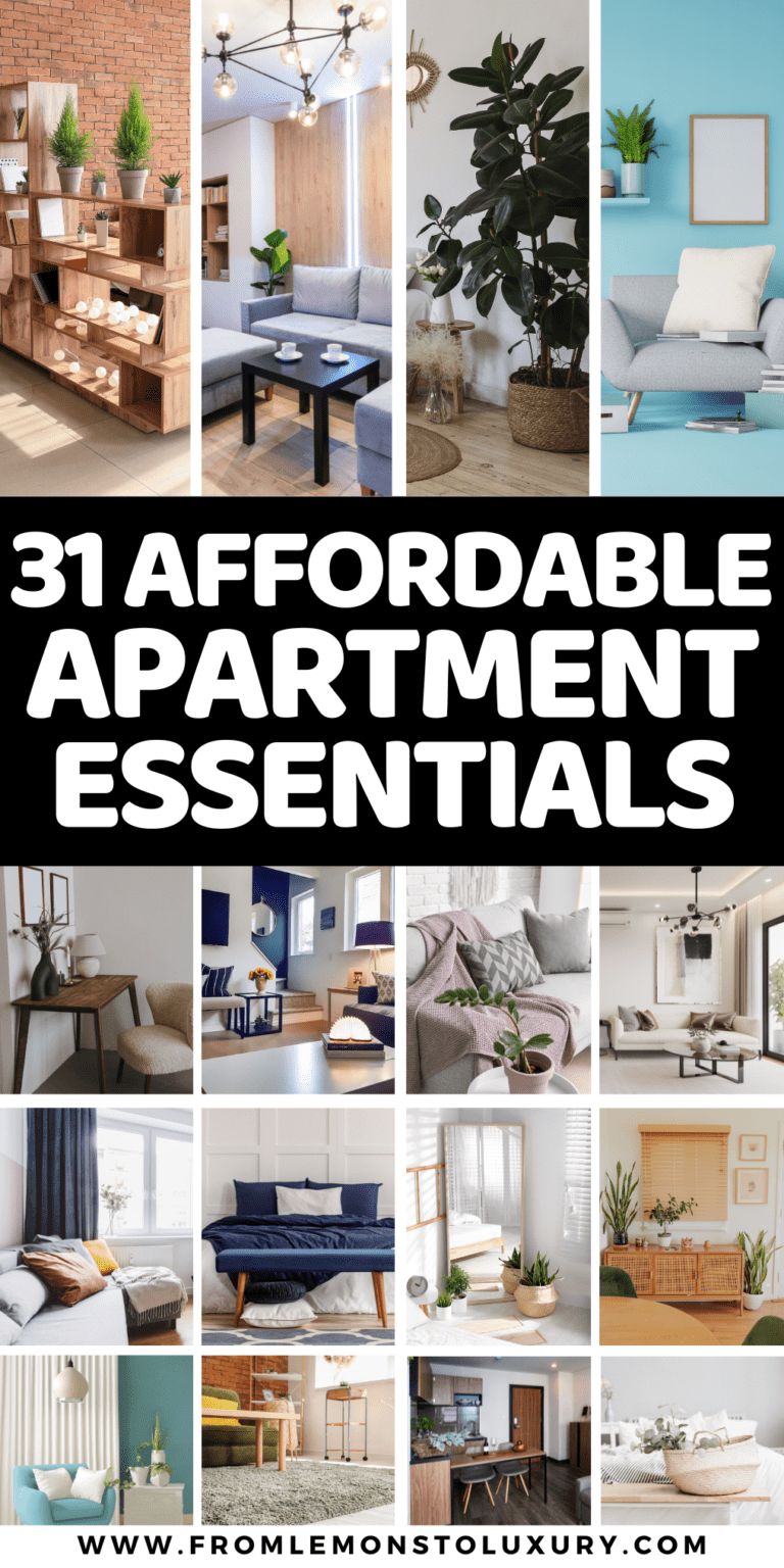 31+ Must-Have Affordable Apartment Essentials For An Instant Makeover