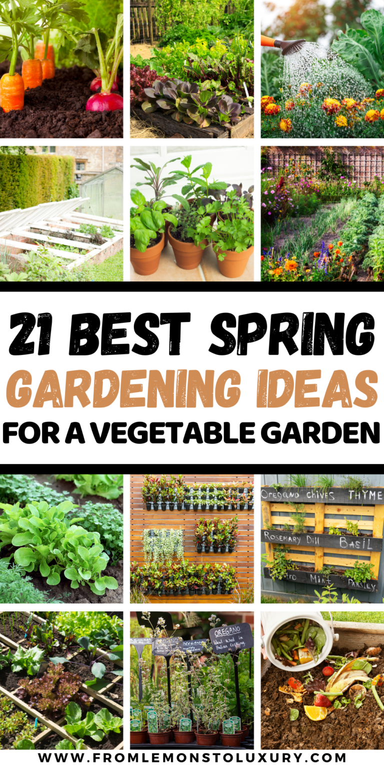 21+ Spring Gardening Ideas For A Vegetable Garden