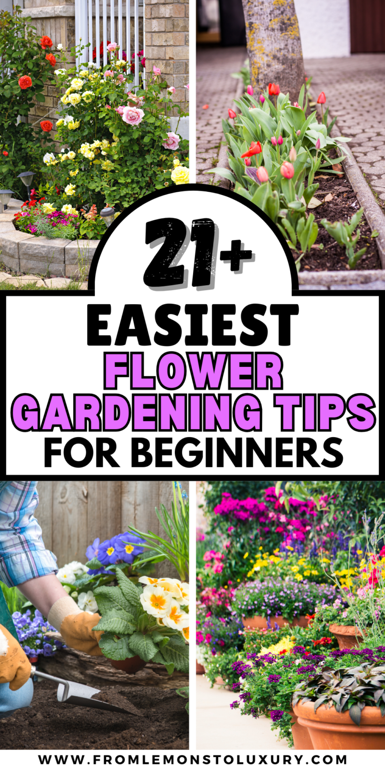 21+ Tips On Chaos Gardening Flowers: Easy Gardening For Beginners Tips