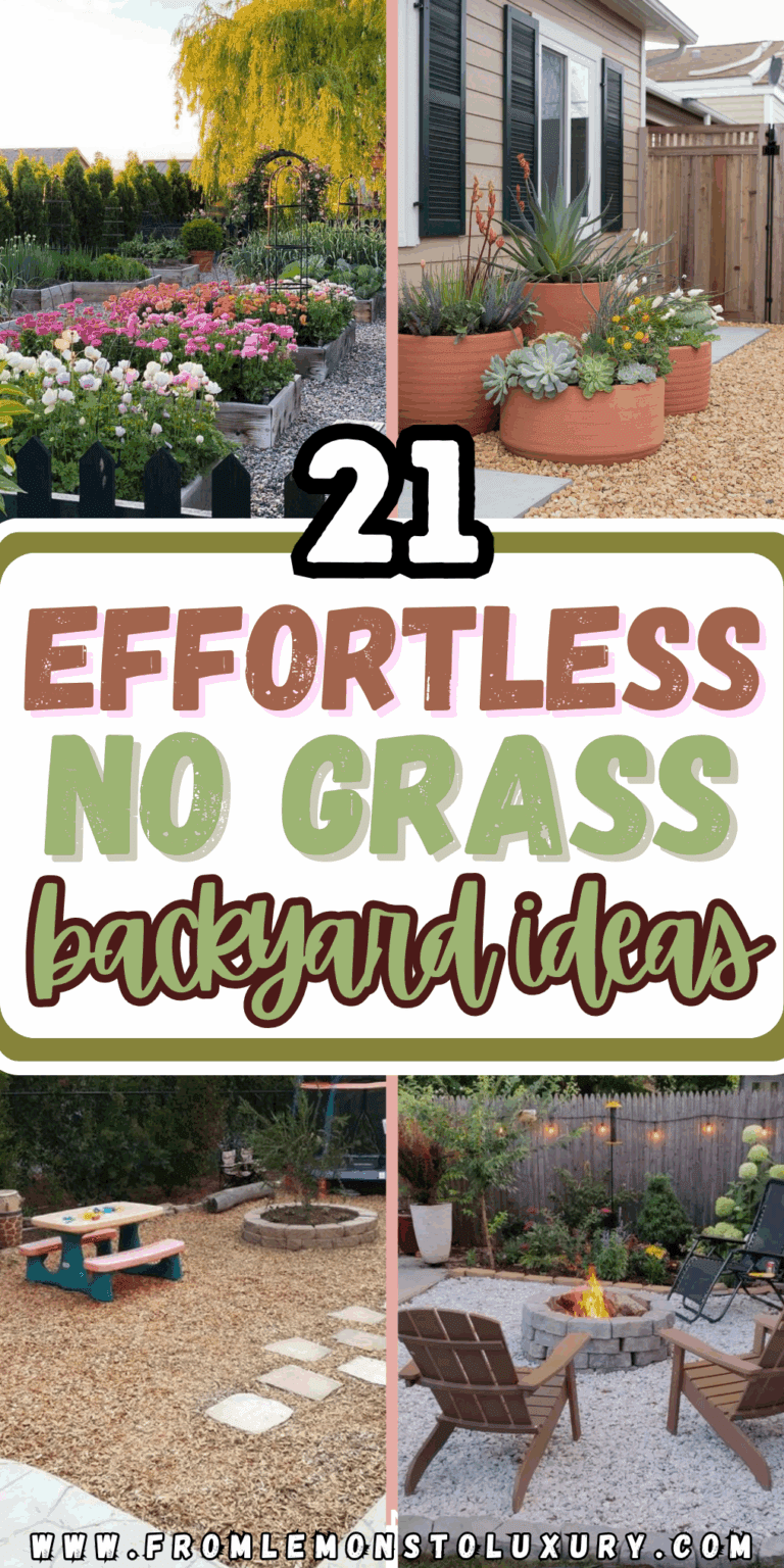 21+ No Grass Backyard Ideas That Feel Effortless and Beautifully Low-Maintenance
