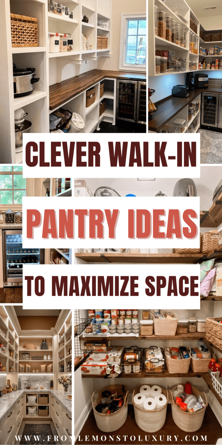 21+ Functional Walk-In Pantry Ideas for Organized Storage