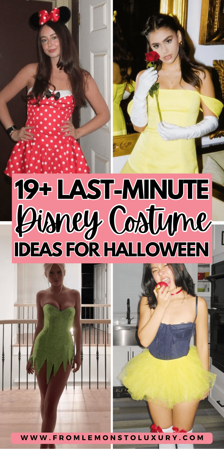 19+ Creative Disney Costume Ideas For A Last-Minute Look