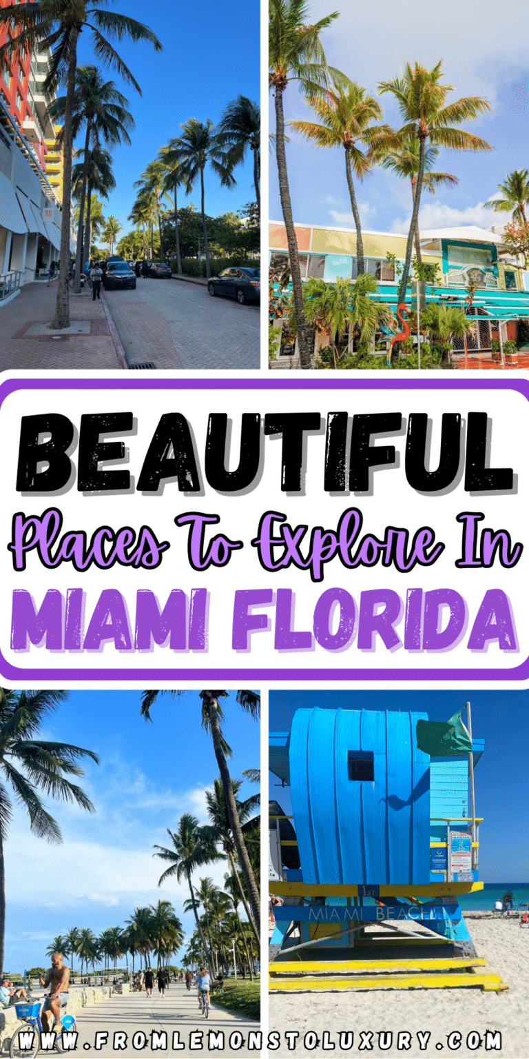 Beautiful Places To Explore In Miami, Florida